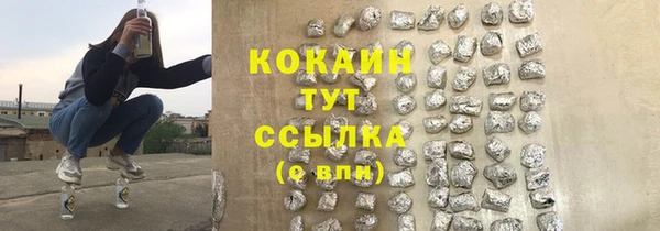 прущие грибы Богданович