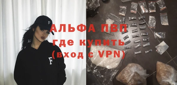 прущие грибы Богданович