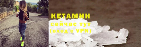 прущие грибы Богданович