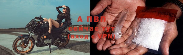 экстази Бородино