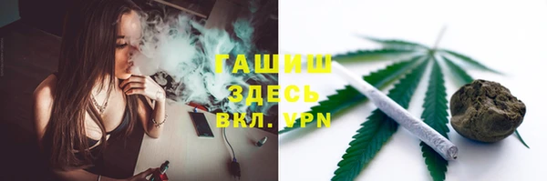 прущие грибы Богданович