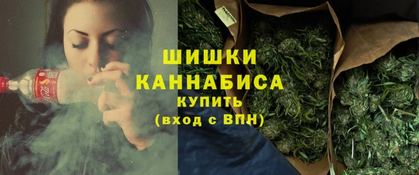 прущие грибы Богданович