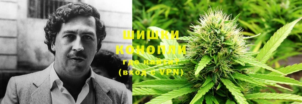 прущие грибы Богданович