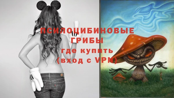 тгк Бугульма