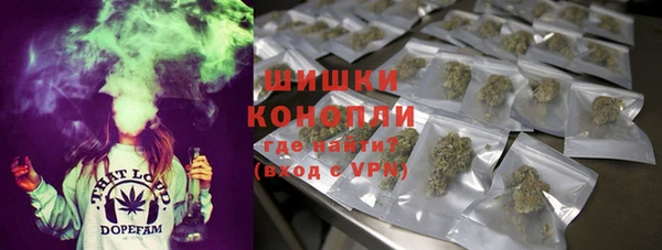 ГАЛЛЮЦИНОГЕННЫЕ ГРИБЫ Богородицк