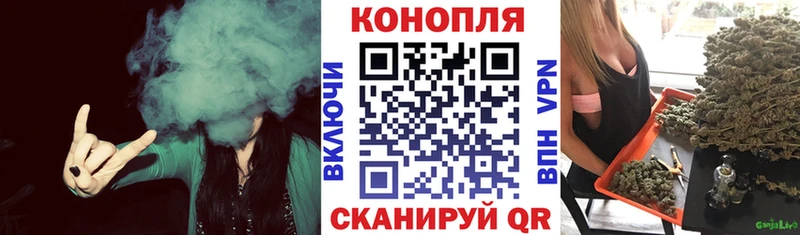 Шишки марихуана конопля  Волосово 